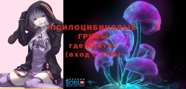 МДПВ Кулебаки