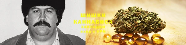 2c-b Ладушкин