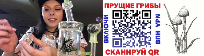 Псилоцибиновые грибы мухоморы Соль-Илецк